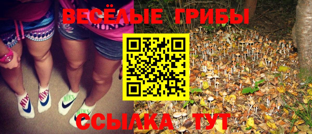 Псилоцибиновые грибы Psilocybine cubensis Углич