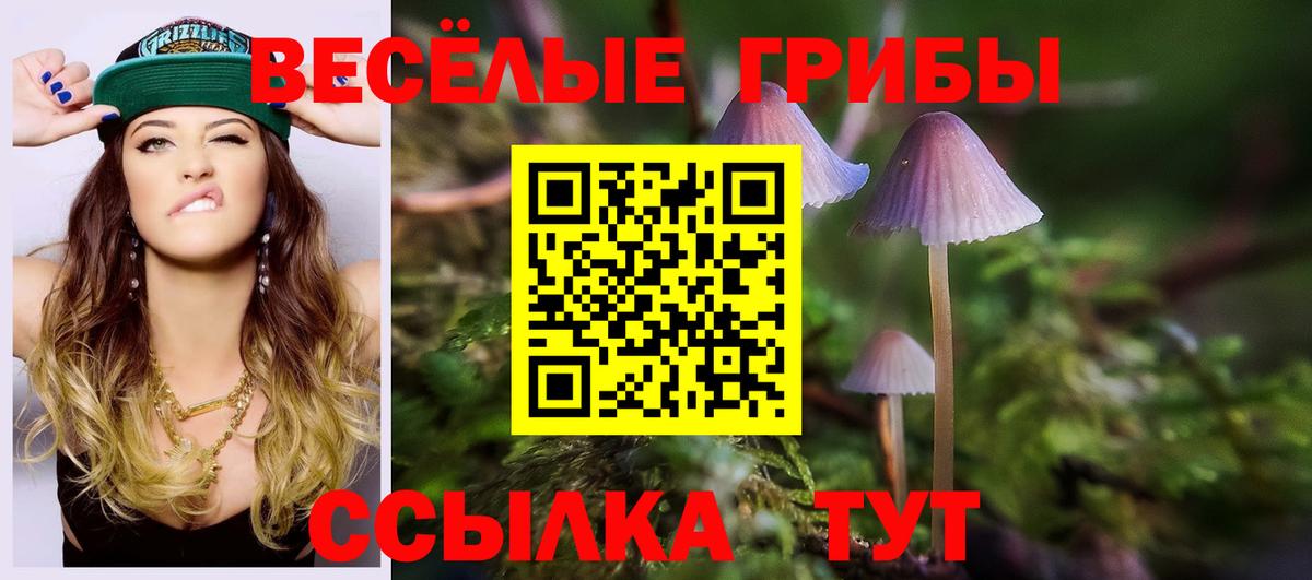 где продают наркотики  Вход с VPN  Углич  Псилоцибиновые грибы мухоморы 